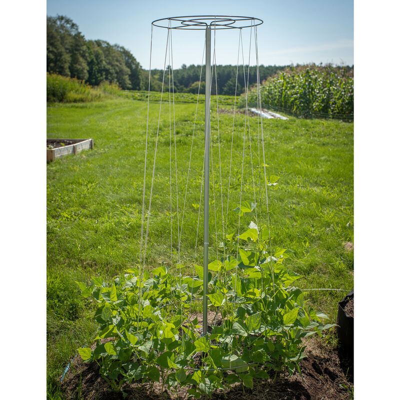 Bean Tower &ndash; 60" Cages & Fences