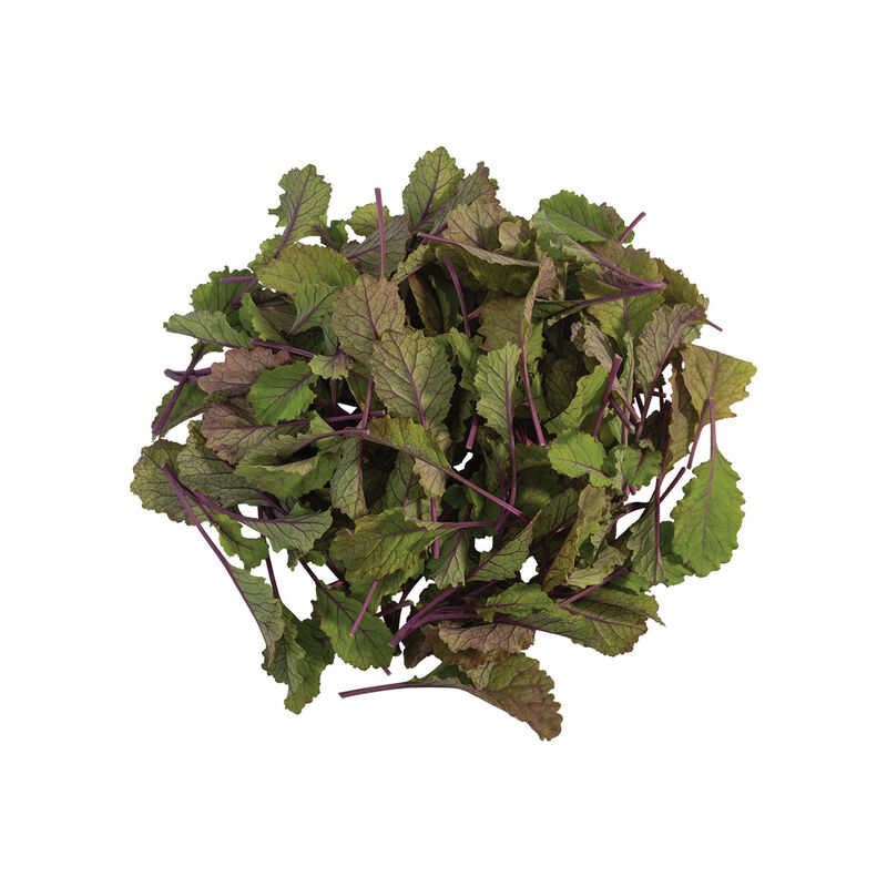 Unicorn Curly Kale