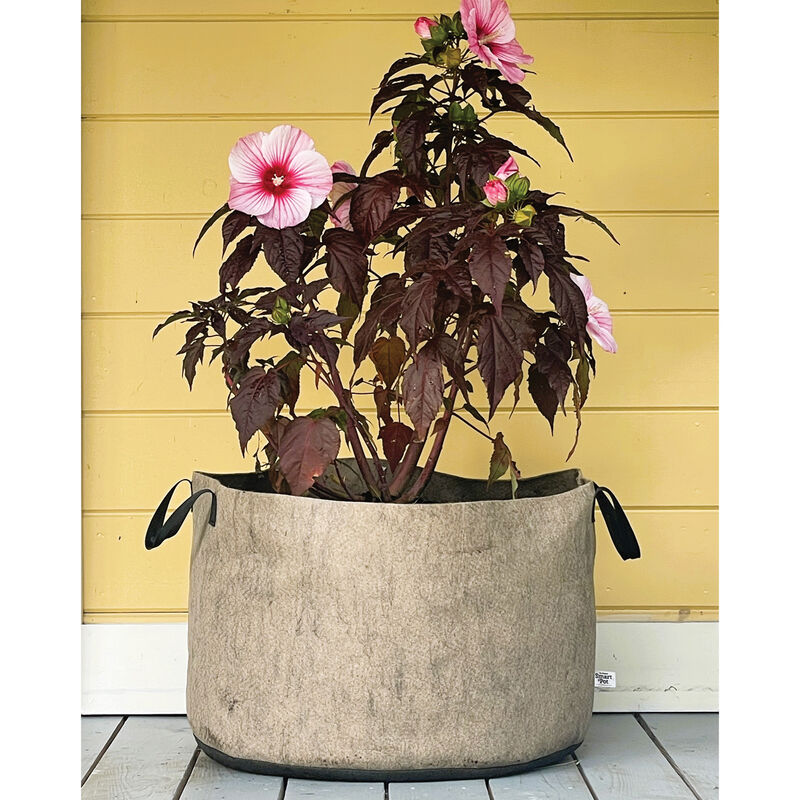 Smart Pot&reg; Natural &ndash; 30 Gal. Grow Bags