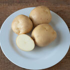 Envol Potatoes