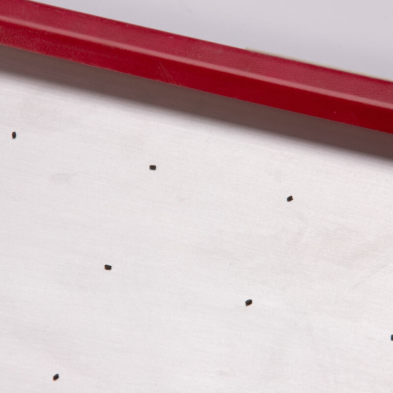 Seed Plate B50 Seed Starting Supplies