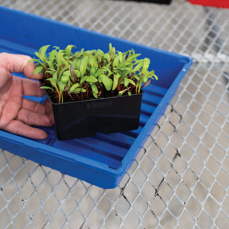 Polypro 5x5 Insert Pots &ndash; Black, 8 Count Plastic Pots