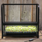 Johnny's&nbsp;Infinite&nbsp;Adjustable&nbsp;LED Light Stand LED