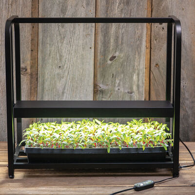 Johnny's&nbsp;Infinite&nbsp;Adjustable&nbsp;LED Light Stand LED