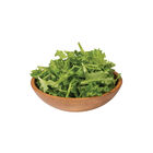 Celinet Summer Crisp Lettuce (Batavia)