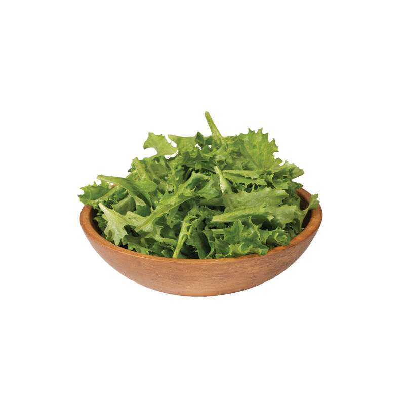 Celinet Summer Crisp Lettuce (Batavia)