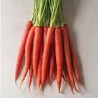Rubypak Colored Carrots