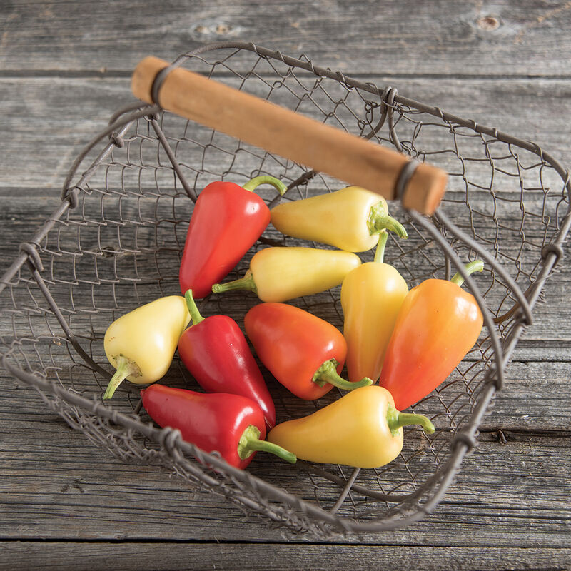Havasu Hot Peppers