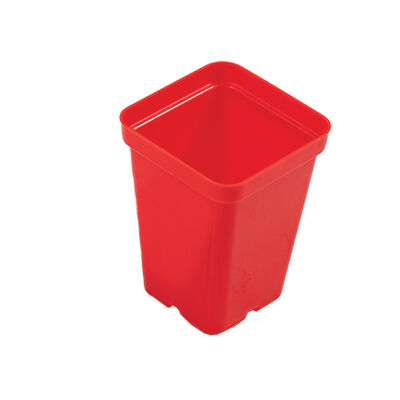 Polypro 2.5" Insert Pots &ndash; Red, 32 Count Plastic Pots