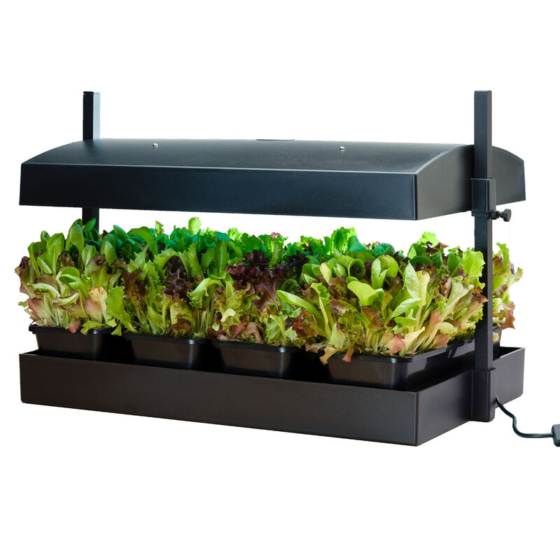 Growlight Garden Seed Starter Kits