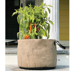 Smart Pot&reg; Natural &ndash; 10 Gal. Grow Bags