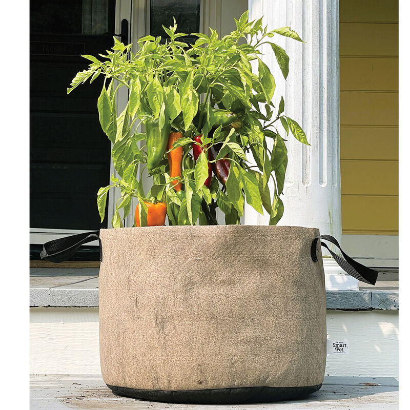 Smart Pot&reg; Natural &ndash; 10 Gal. Grow Bags