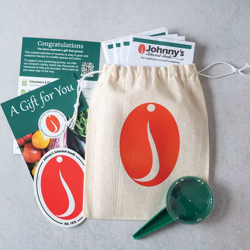 Savory Start Collections
