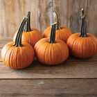Voodoo Pie Pumpkins