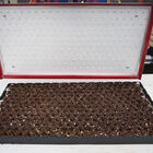 Seed Plate A264 Vacuum