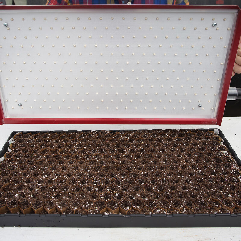 Seed Plate A264 Vacuum