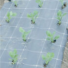 Hortonova FA &ndash; 48" x 328' Trellis Netting