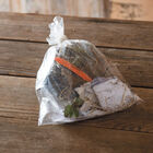 Cabot Strawberry Bare-Root Plants