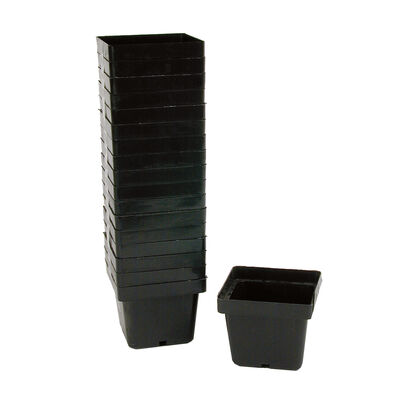 Mini Square Plastic Pots &ndash; 540 Count Plastic Pots