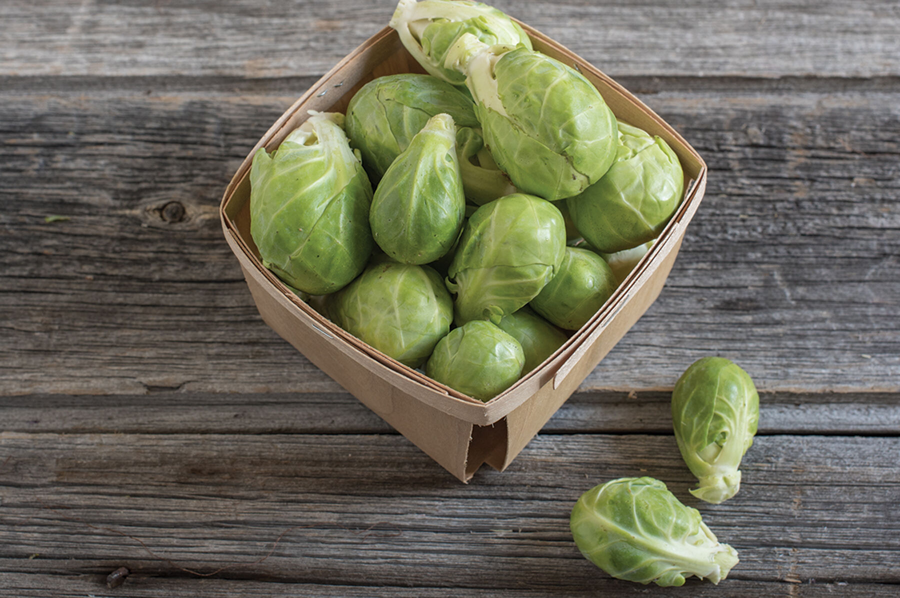 Dagan Brussels Sprouts