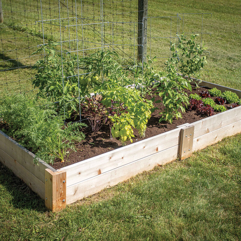 Cedar Raised Garden Bed &ndash; 4' x 8' Raised Beds & Planters