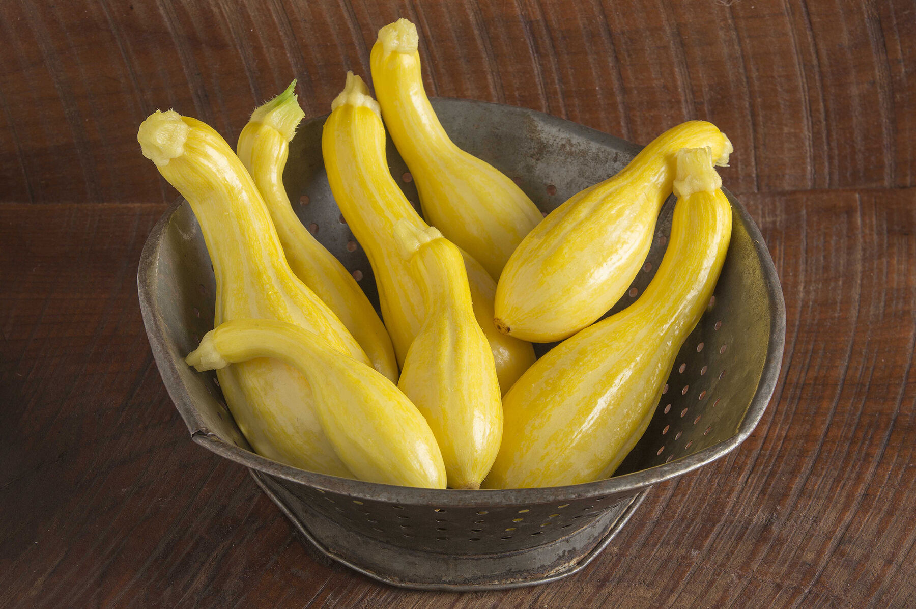 Tempest Summer Squash