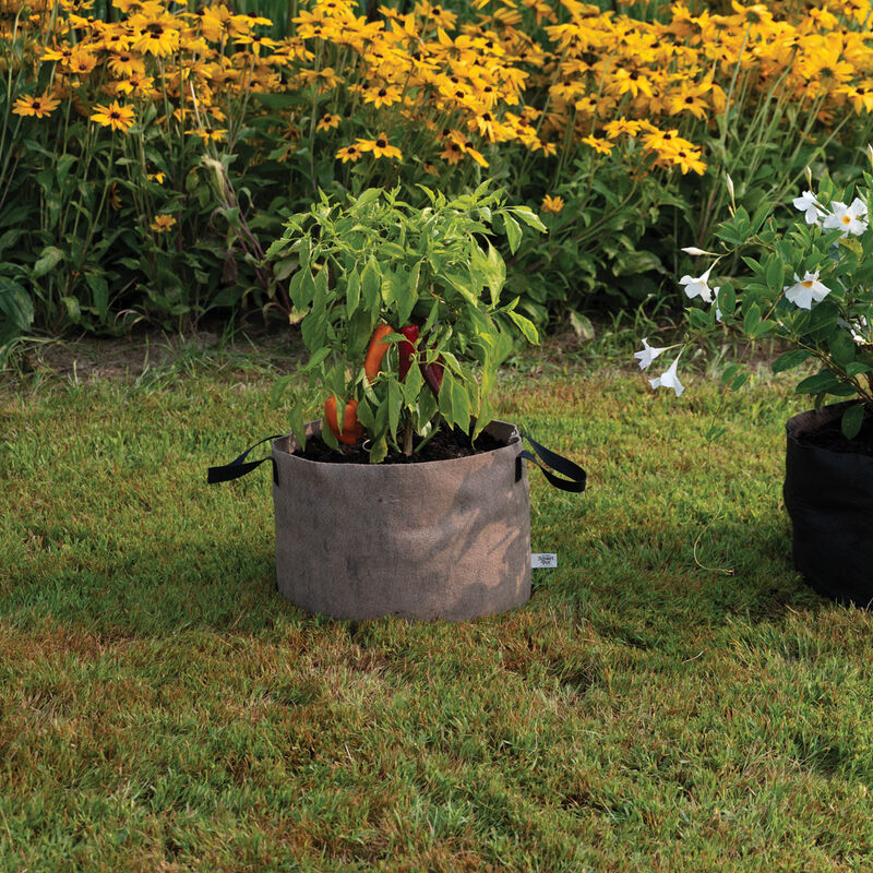 Smart Pot&reg; Natural &ndash; 10 Gal. Grow Bags