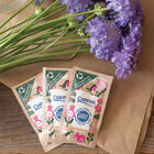 Chrysal Universal Paper Sachet &ndash; 1,000 Count Flower Post-Harvest