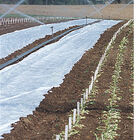 Agribon+ AG-19 &ndash; 83" x 250' Agribon