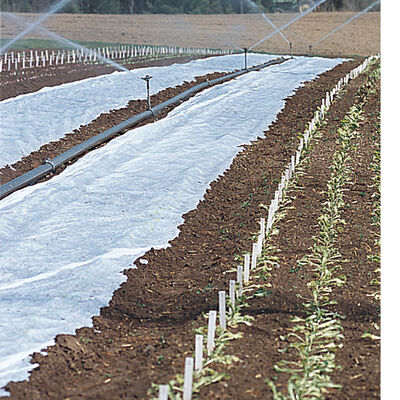 Agribon+ AG-19 &ndash; 83" x 250' Agribon