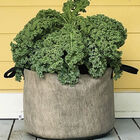 Smart Pot&reg; Natural &ndash; 15 Gal. Grow Bags