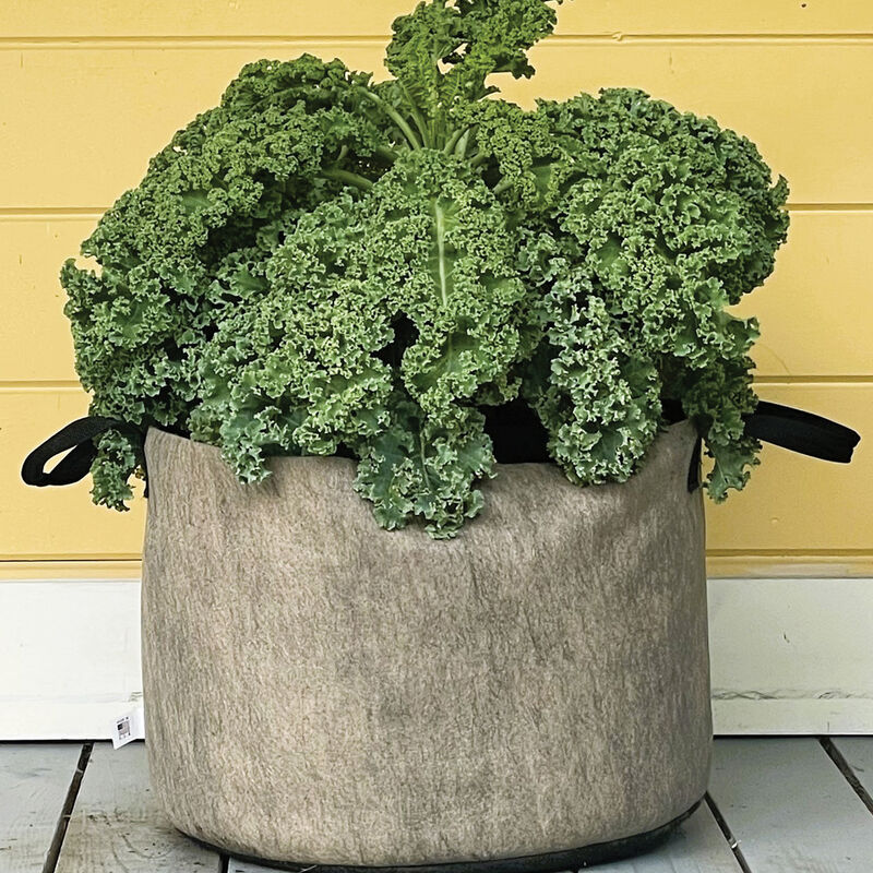 Smart Pot&reg; Natural &ndash; 15 Gal. Grow Bags