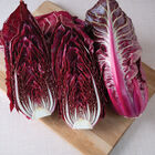 Luna Rossa Radicchio