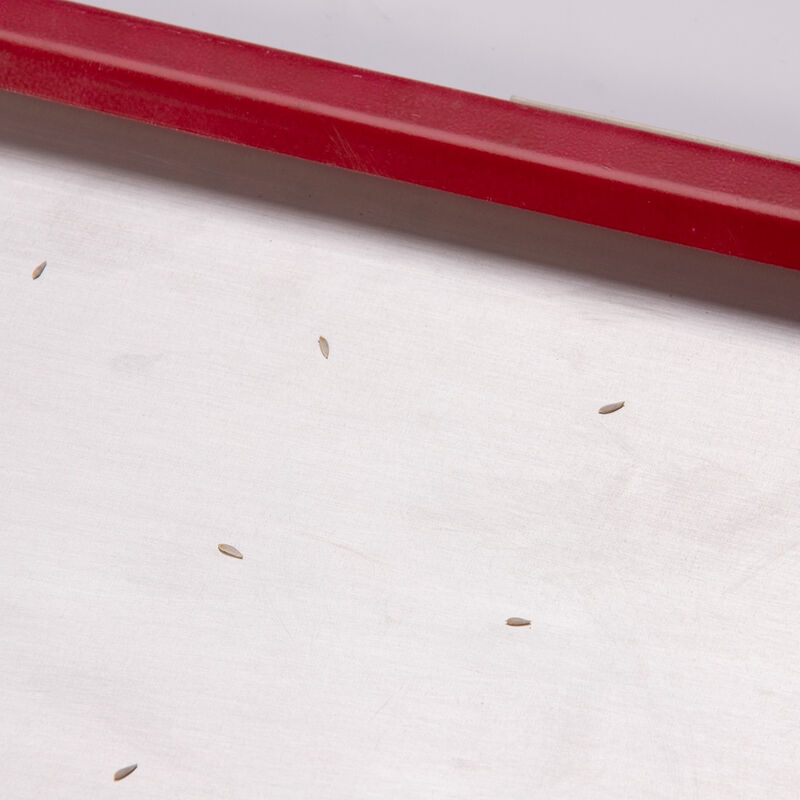 Seed Plate C200 Seed Starting Supplies