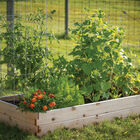 Cedar Raised Garden Bed &ndash; 3' x 6' Raised Beds & Planters