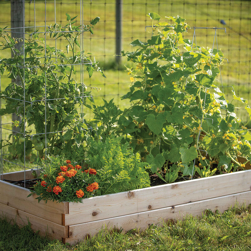 Cedar Raised Garden Bed &ndash; 3' x 6' Raised Beds & Planters