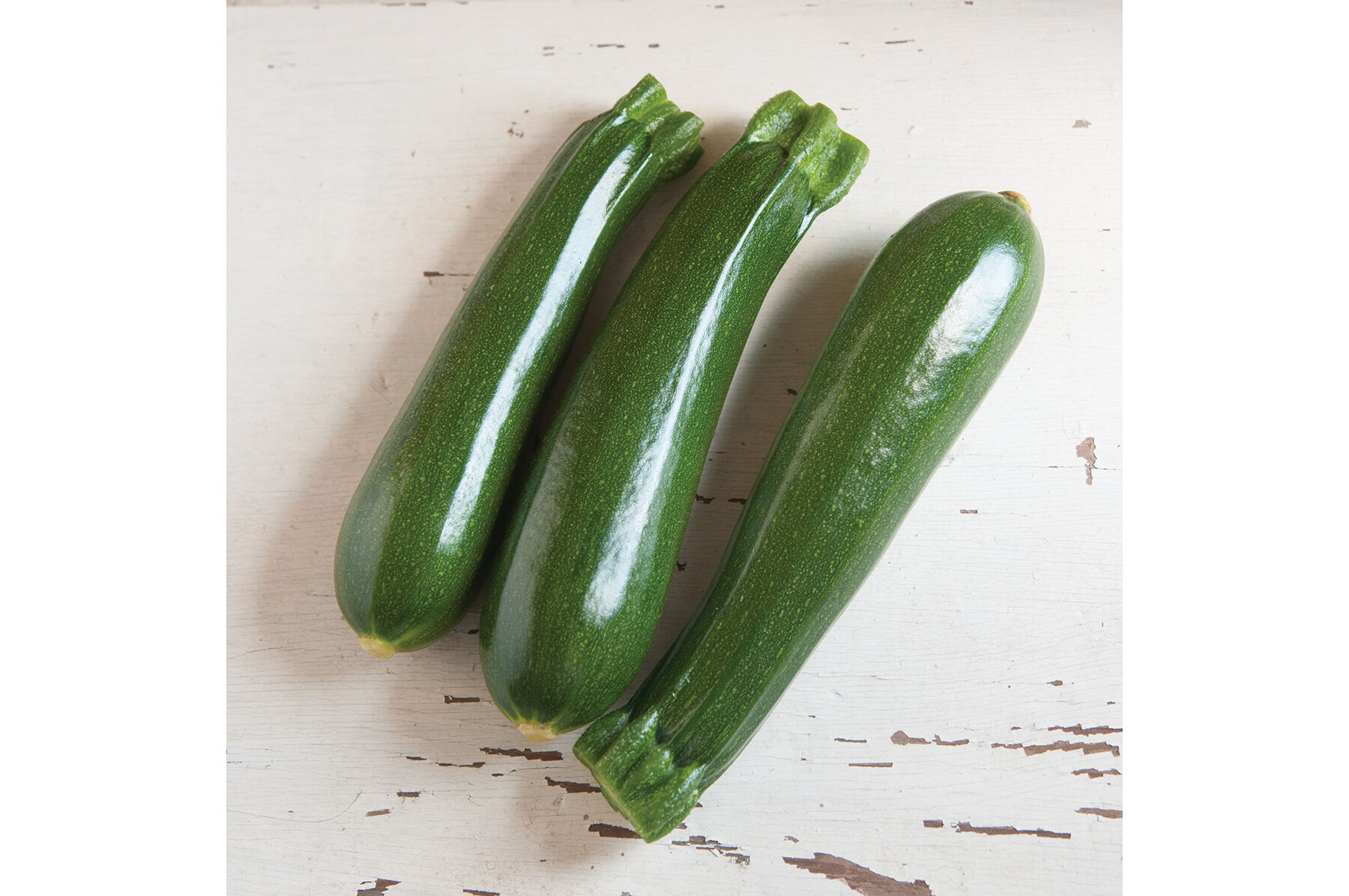 Dunja Summer Squash