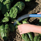 Serrated Greens Knife &ndash; 6" Harvest Knives