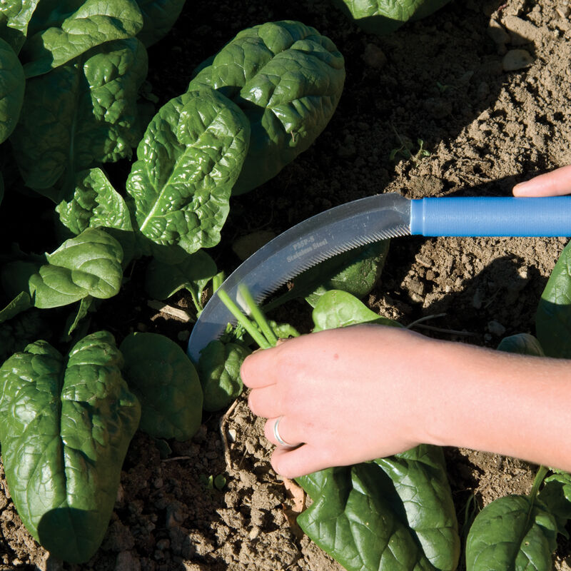 Serrated Greens Knife &ndash; 6" Harvest Knives