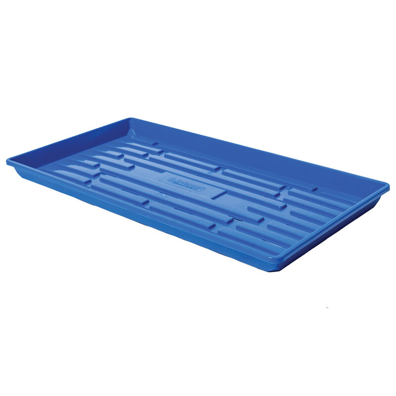 Polypro Shallow Tray (With Holes), Blue &ndash; 24 Count Support Trays