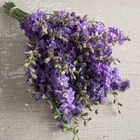 QIS&trade; Lilac Larkspur