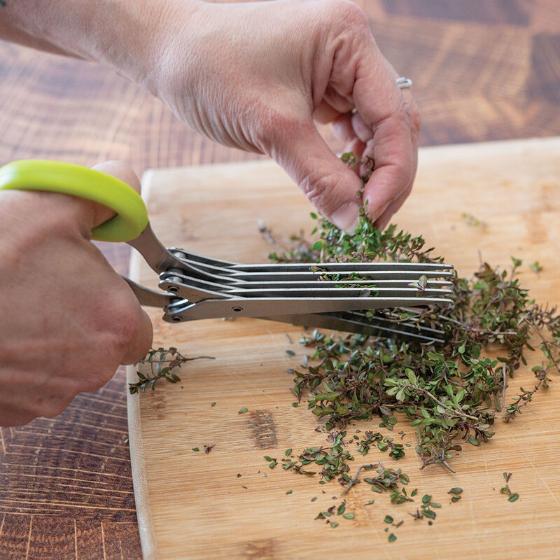 Multi-Blade Herb Scissors Shears & Scissors