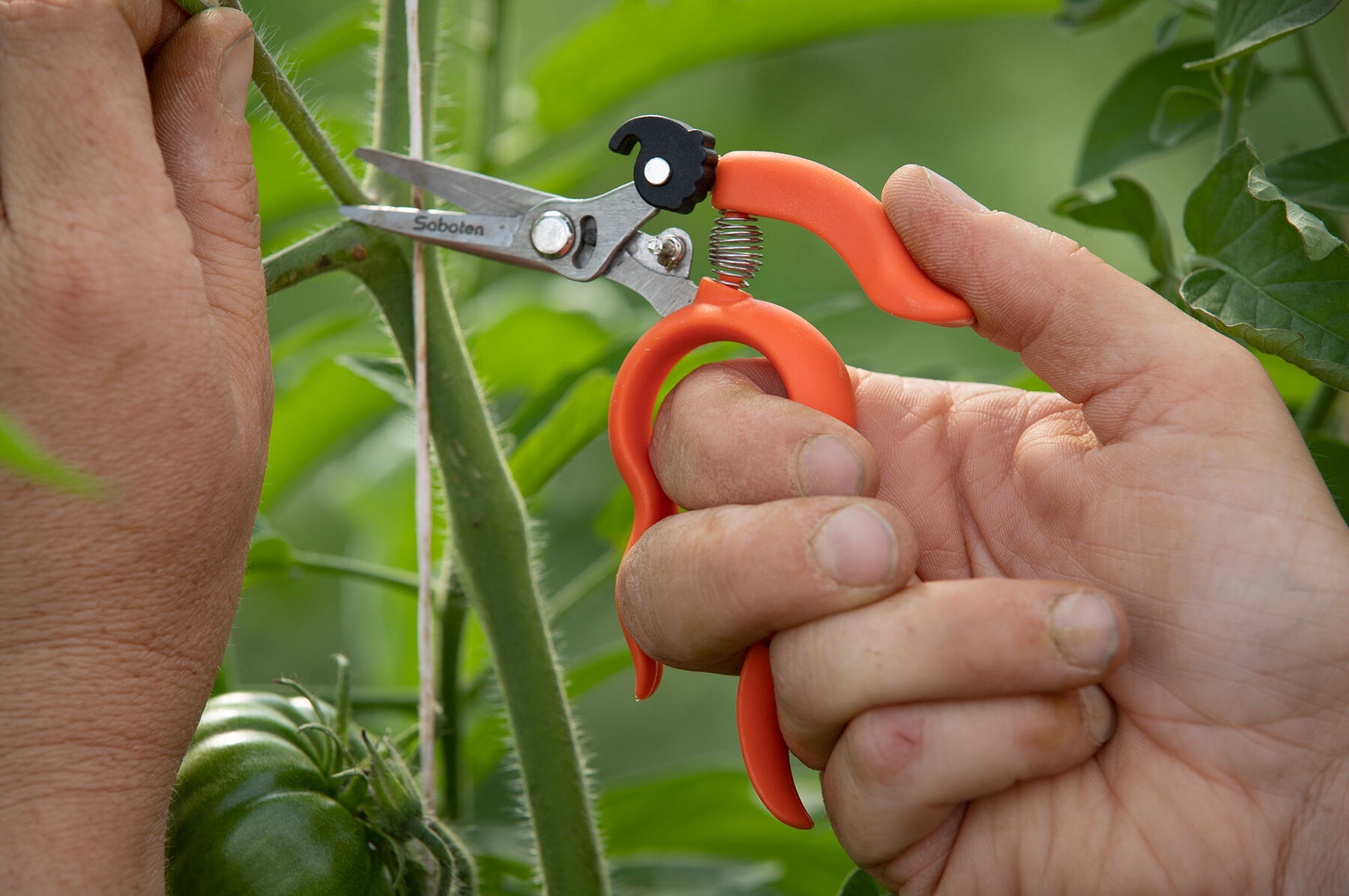 Hands-Free Pruning Shears &ndash; Stainless Steel Shears & Scissors