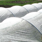 Agribon+ AG-19 &ndash; 10' x 250' Agribon