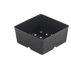 Polypro 5x5 Insert Pots &ndash; Black, 24 Count Plastic Pots