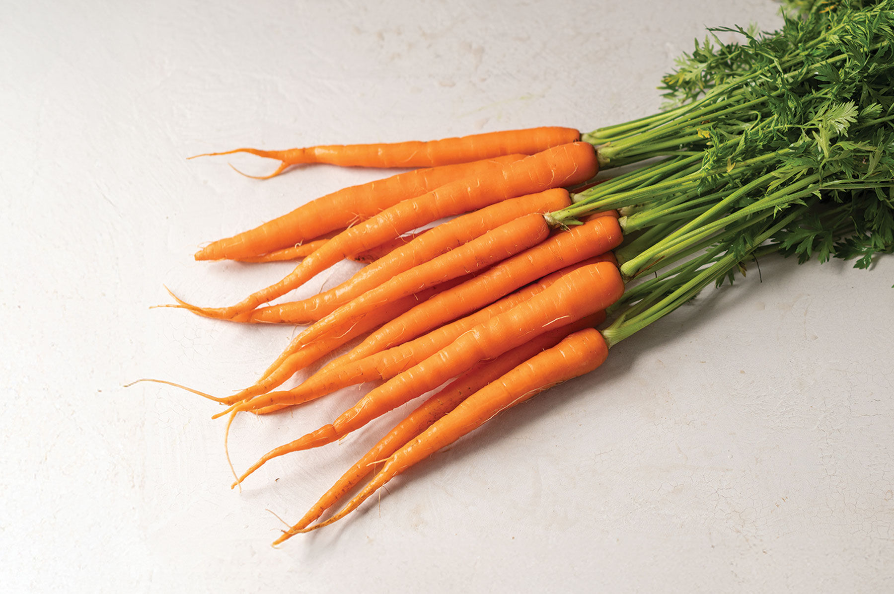Sugarsnax 54 Main Crop Carrots
