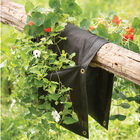 Wall Flower Hanging Planter &ndash; Saddle Bag Grow Bags