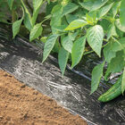 Bio360 Mulch &ndash; 4' x 500' Biodegradable & Compostable Mulch