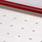 Seed Plate G200 Vacuum