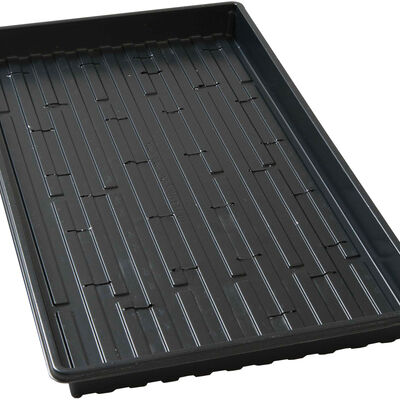 Lightweight Shallow Trays (with Holes) &ndash; 100 Count Support Trays